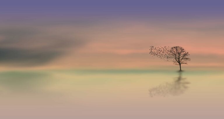 La recherche et la création face aux enjeux socio-écologiques du numérique